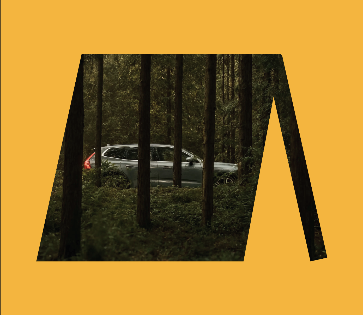 Ljus — визуальная айдентика